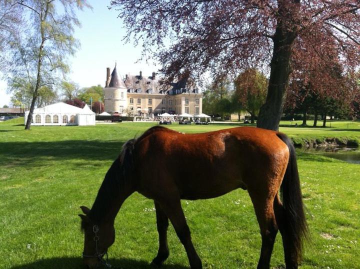 Chateau De Berticheres Chaumont-en-Vexin Eksteriør billede